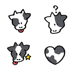 Cute  cows
