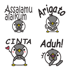Indonesian penguin