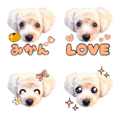 Maltipoo Mikan Emoji