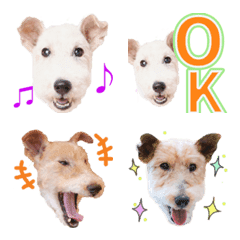 Happy terrier daily Emoji