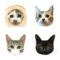 Kitten Emoji.