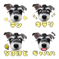Mixed breed TEN Emoji