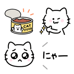 Cat goods&cat