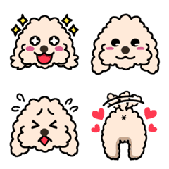 mokomoko ears toy poodle 2.0