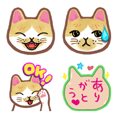 Cat Lucy [emoji]