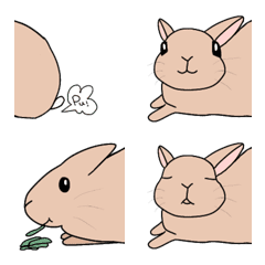 rabbits emojiii