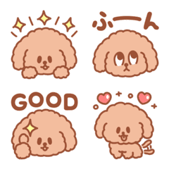 Kawaii puppy(toy poodle)