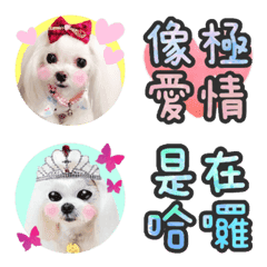 哇哇公主の表情貼❤️緊鑼密鼓出第二彈囉❤️