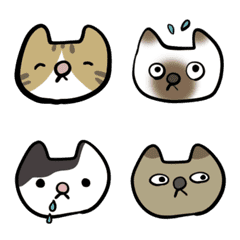 Faces Of Various Cats