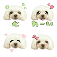 Kokoro Emoji