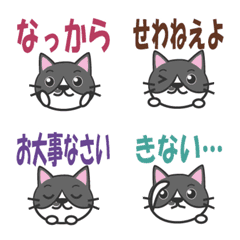 Gray tabby cat Gunma dialect