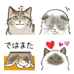 Winter cats emoji
