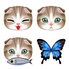 猫×蝶×魚・絵の具タッチ