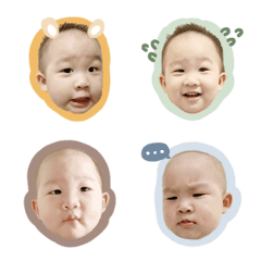 D.bo表情