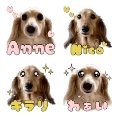 Anne & Nico Emoji
