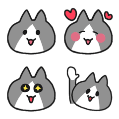 bicolor cat 1