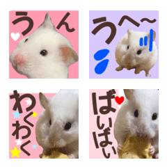 hamster photo emoji masiro