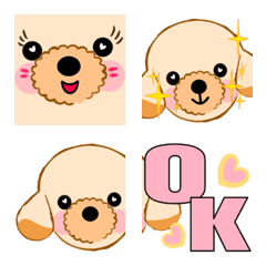 toy  poodle Collon emoji