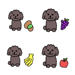 黒プードルと果物