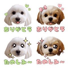 Aruto & Kotone Emoji