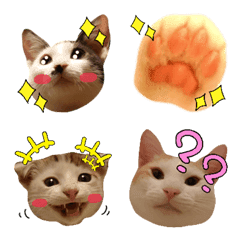 Pretty cats Emoji 4