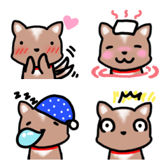 チワワかもしれない