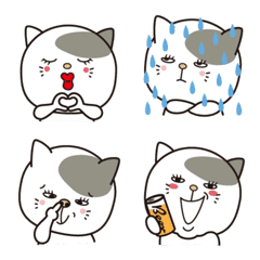 mochi cat - daily 1 -
