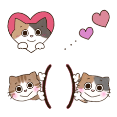 Daily life of calico cats and tora cats