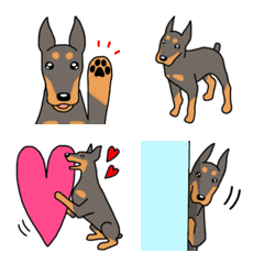 Dog emoji Doberman everyday – LINE Emoji | LINE STORE
