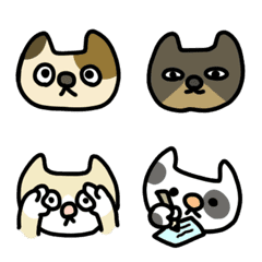 Faces Of Various Cats 2