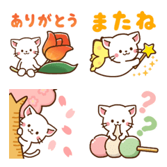 White cat,Spring Japan
