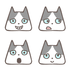 Tuxedo cat of the triangle face