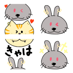 Body piercing cat part5(Rabbit edition)