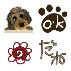 Cute  dachshund emoji