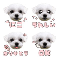 Mix Nico Emoji
