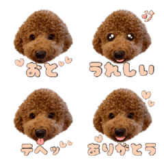 Toy Poodle Oto Emoji