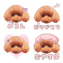 Toy Poodle Melon Emoji