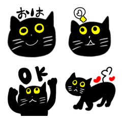 blackcat1