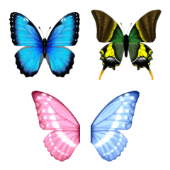 The butterflies drawn by paint