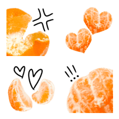orange -Japanese MIKAN-