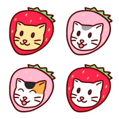 Strawberry Cats