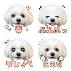 Haru Emoji