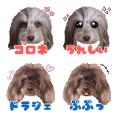 Cornet and Doragee Emoji