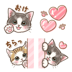 Kitten's Emoji (With letters)