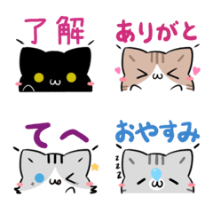 Cats emoji that can be used every day3