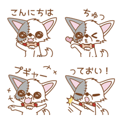 Tugihagi Chihuahua  (Emoji)
