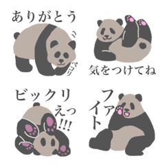 panda!panda!chan