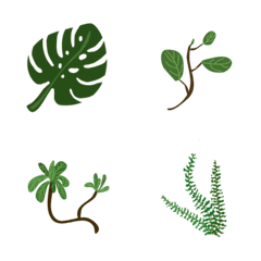 house plants