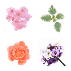 Small flowers emoji 1