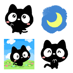 Very cute black cat 2